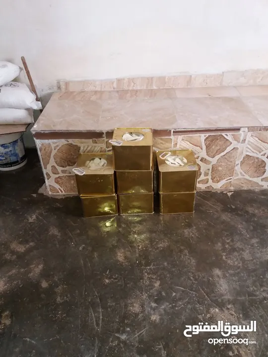 مطلوب شريك ممول لمعمل اجبان  يعمل بشكل جيد