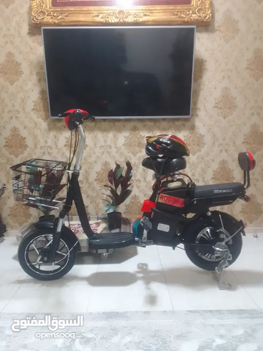 Scooter bike