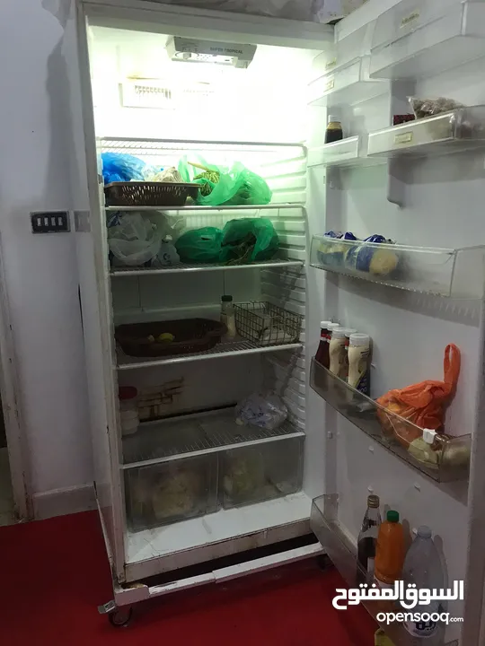 Wanza freezer and refrigerator