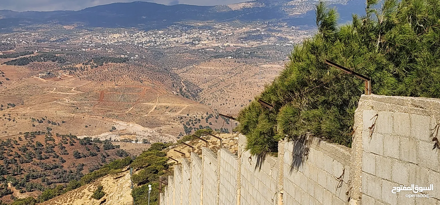 تل الرمان  شمال عمان