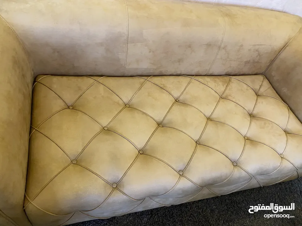 تنظيف كنب، سجاد، موكيت وشقق كاملة في رام الله – Green Clean – خبرة ونتائج ممتازة