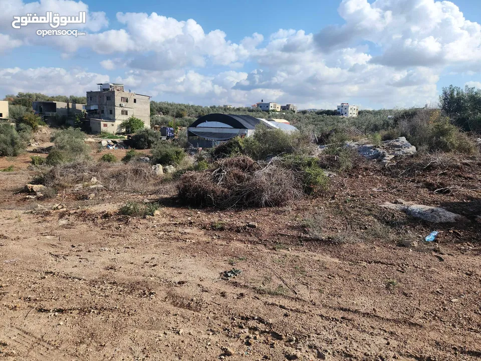 حصة بمنطقة الحرايق