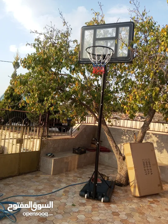 أفضل ستاند سلة زجاجي مقاس رائعه وقابل للتعديل فاخر اصلي نخب بحق الله