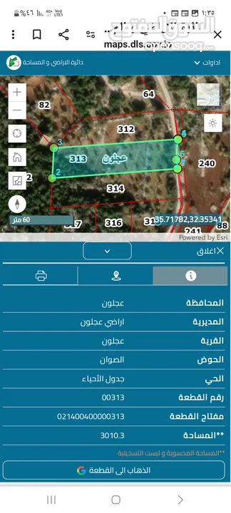 دونمين ونصف زيتون للبيع في عجلون قرب التلفريك