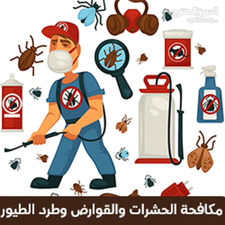 مكافحة الحشرات والرمه والصراصير وتنظيف الفلل والمنازل