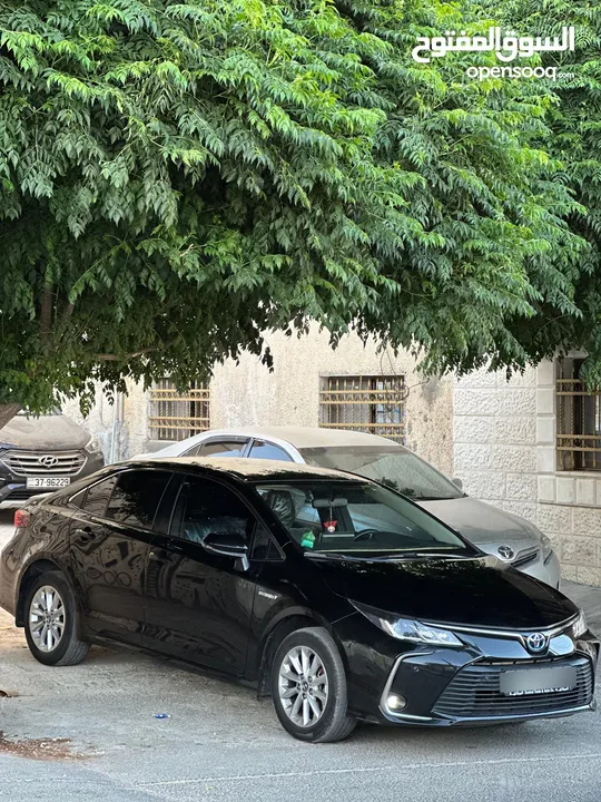 تويوتا كورولا هايبرد Toyota Corolla Hybrid 2019‎ (وارد المركزية)