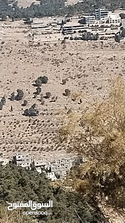 للبيع 6 دونم ونصف في السلط المغاريب حوض الوطيه
