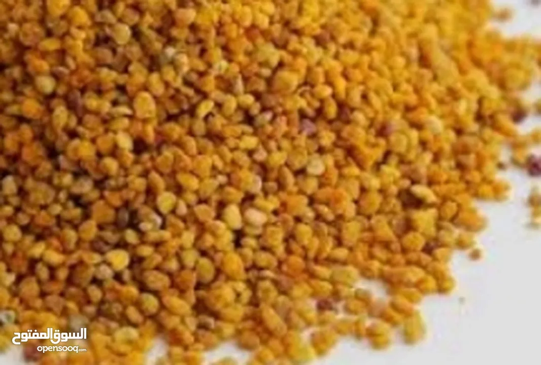 عسل طبيعي 100% سدر حمضي جبلي  ومضمون وشمع بالعسل وغداء الملكات