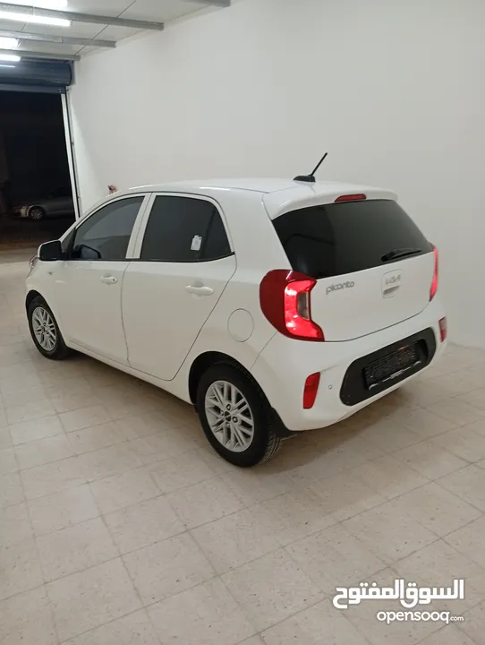 كيا بيكانتو متور 1250بسعر حرق على الكاش 49