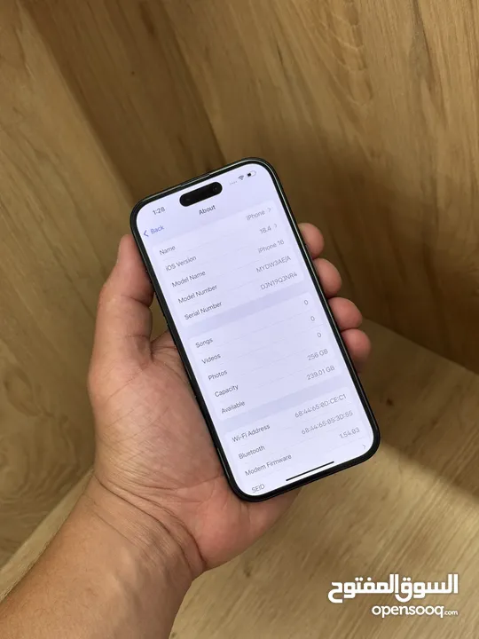 iPhone 16 256