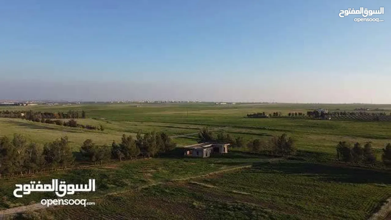 قطعة ارض للبيع جلول دونم 1000 متر مربع قرب التنظيم مباشرة شوارع مميزة
