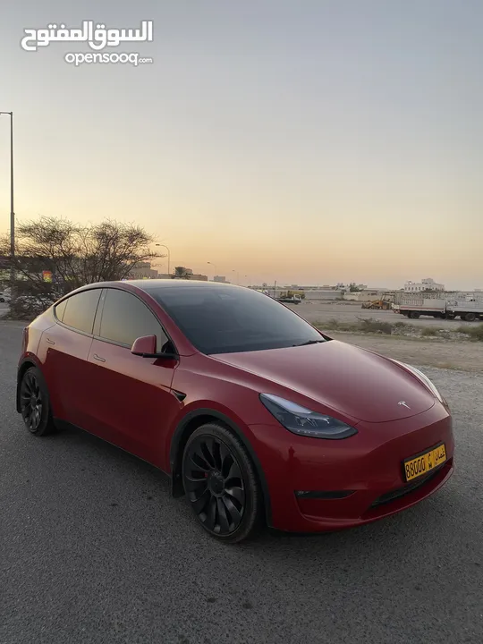 Tesla 2022 Performance  تسلا 2022 بيرفورمانس
