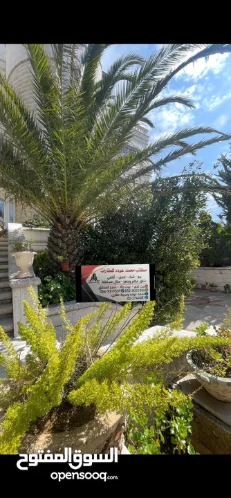 قصر  للبيع في اجمل مواقع راس بيت جالا