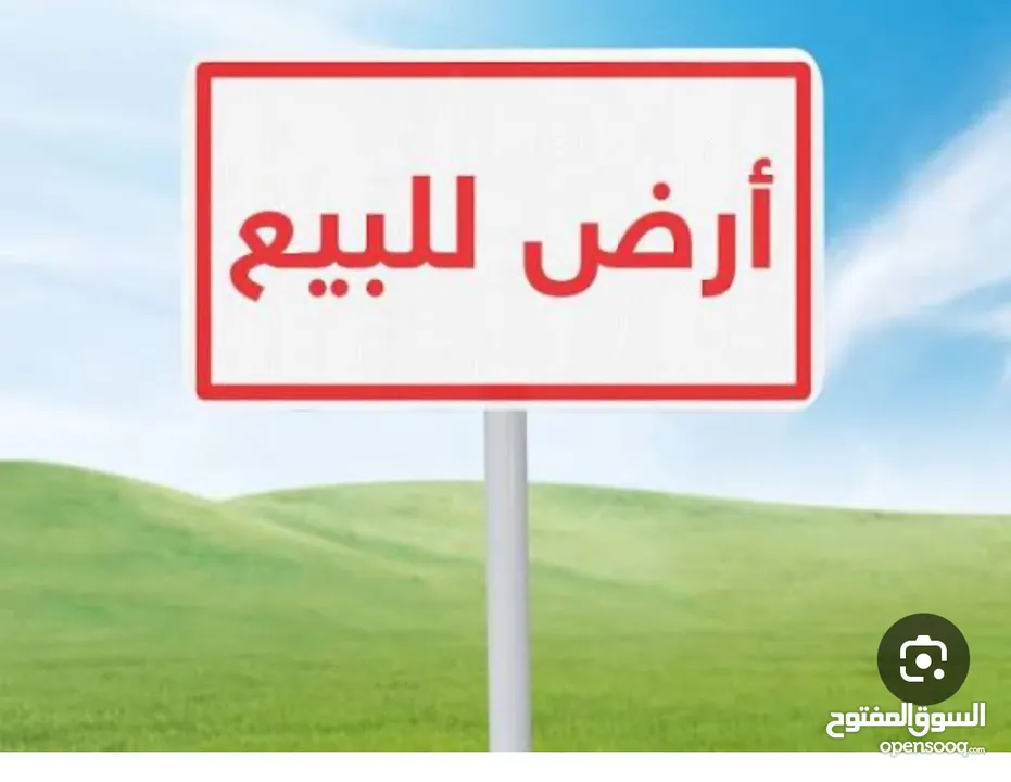معتصم زغير