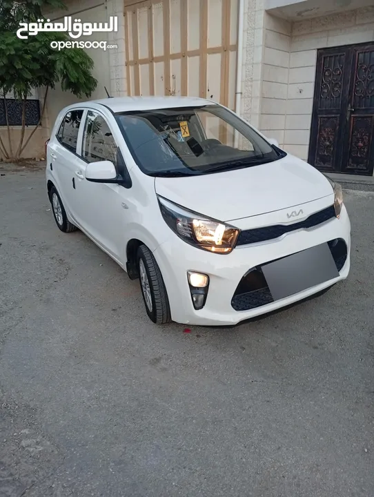 بيكانتو 2022 سعر حرق على الكاش إمكانية البيع نص كاش ونص شكات مع فرق في السعر