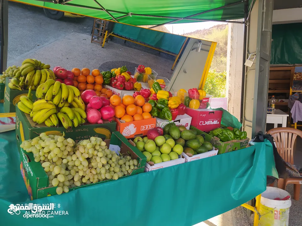 استاندات الخضرة  للبيع