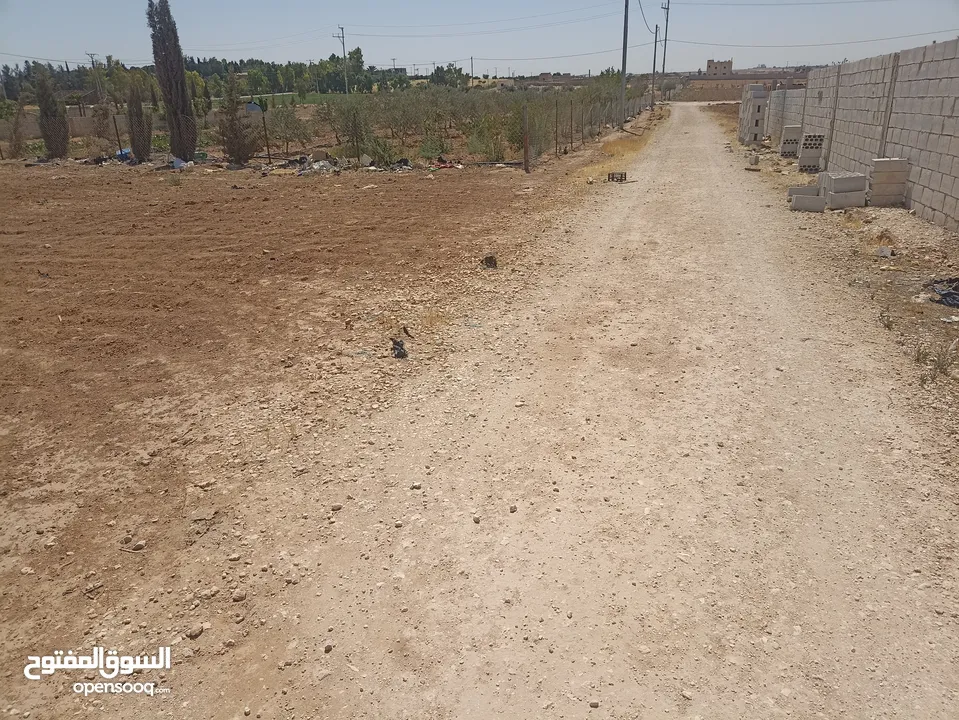 ارض للبيع في المفرق
