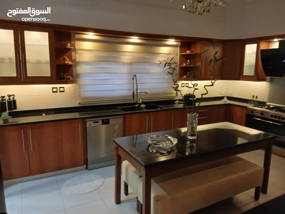 شقه طارق ارضي