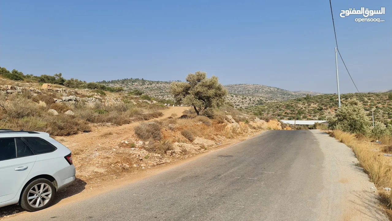 ارض للبيع طابو أ سلطة من المالك مباشرة