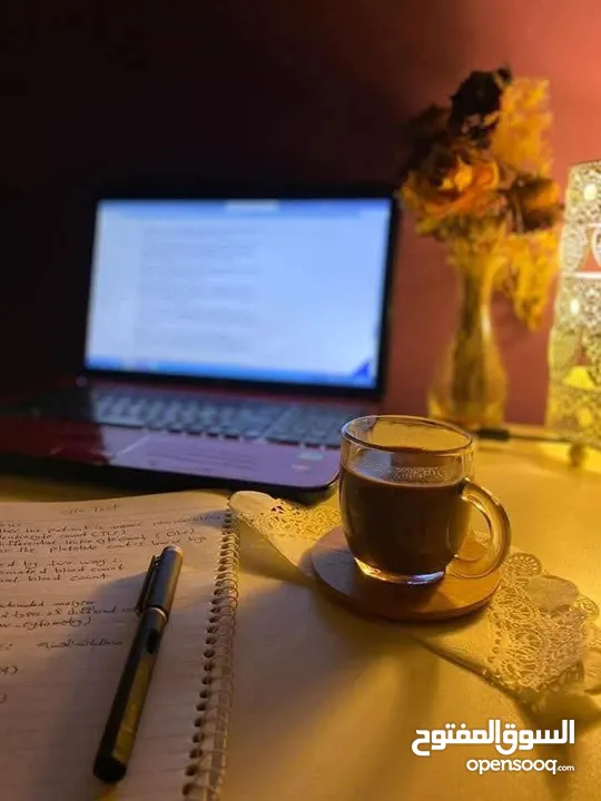 محاسب مالي وإداري