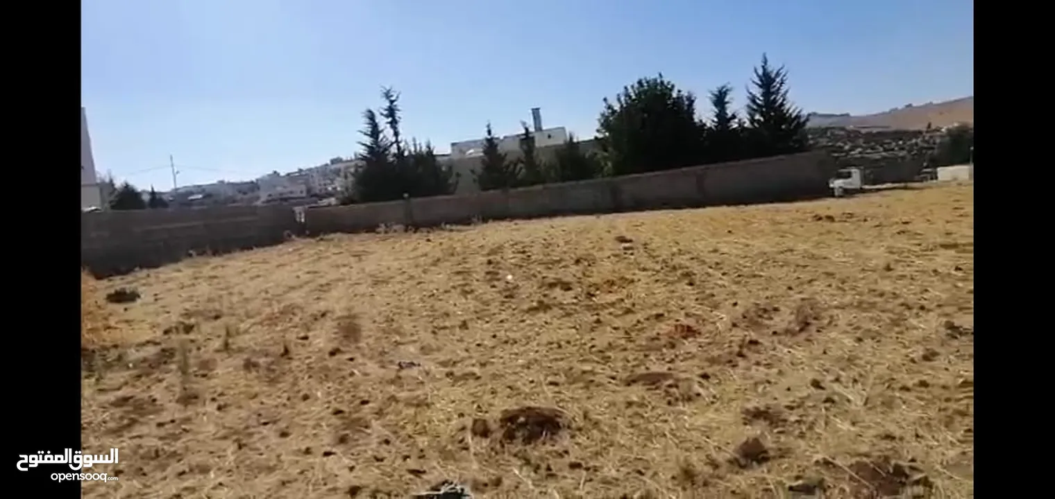 أرض مميزه جدا للبيع بشفا بدران بسعر ممتااااز