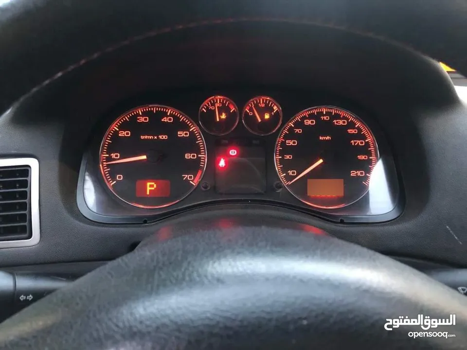 بيجوووووووو 307