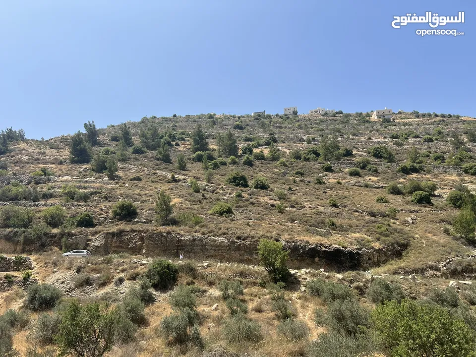 يوجد ارض في حسكا تصنيف (الف) المساحة دونم على الشارع