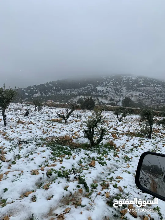 فرصة استثمارية! أرض زراعية مميزة بسعر مغري و بالقرب من أحراش الدولة للمزيد من المعلومات اقرأ الوصف