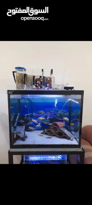 حوض سمك كامل بسعر لقطه