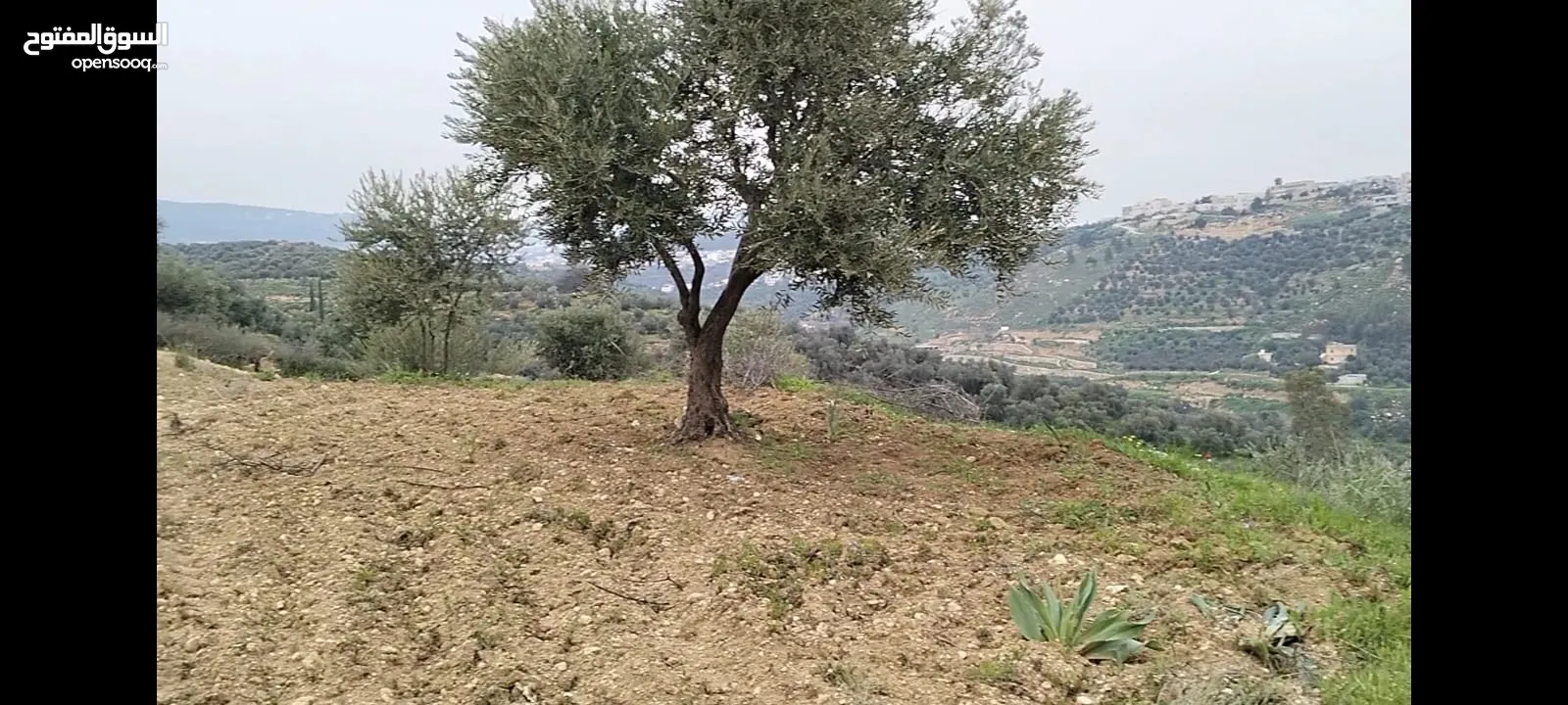 أرض مميزة جداً لعمل شاليه استثماري أو مزرعة خاصة أو مزرعة تجارية يوجد بها قناة ماء من المالك مباشرة