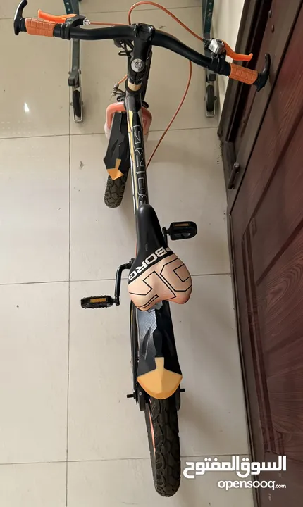 Bicycle Orange and black