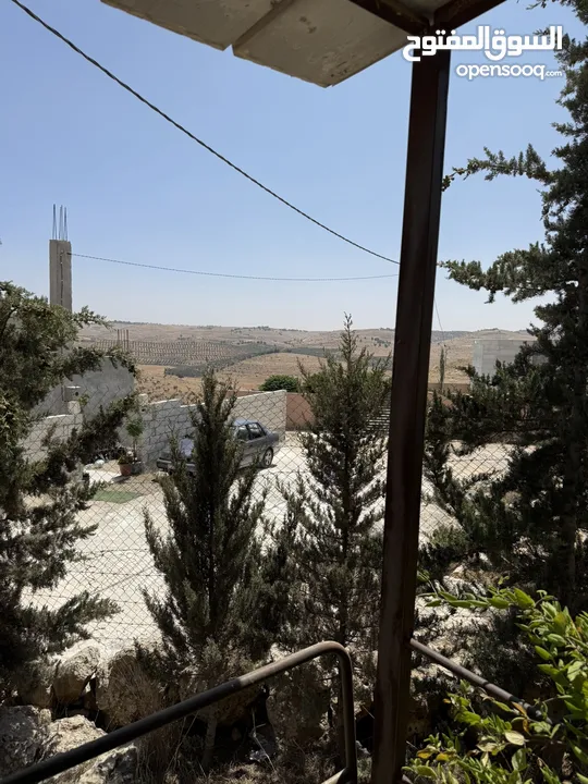 مزرعة للبيع