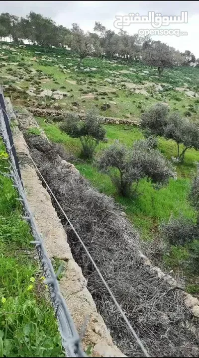 فرصة مغرية جدا لشراء ارض 4013 متر مربع للبيع بسعر مغري جدا في اجمل مناطق جرش واقربها لعمان