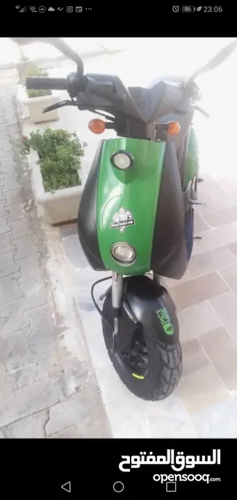 بيجولوديكس متاع كسيبة للبيع