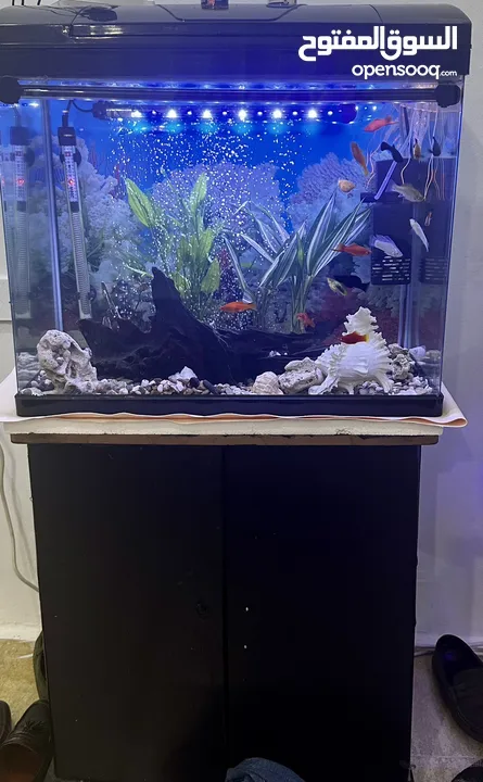 Two fishtank for Sales