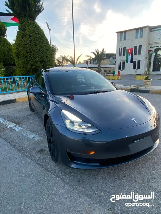 تيسلا مودل 3 استاندر بلس حره 2021 كاش او اقساط