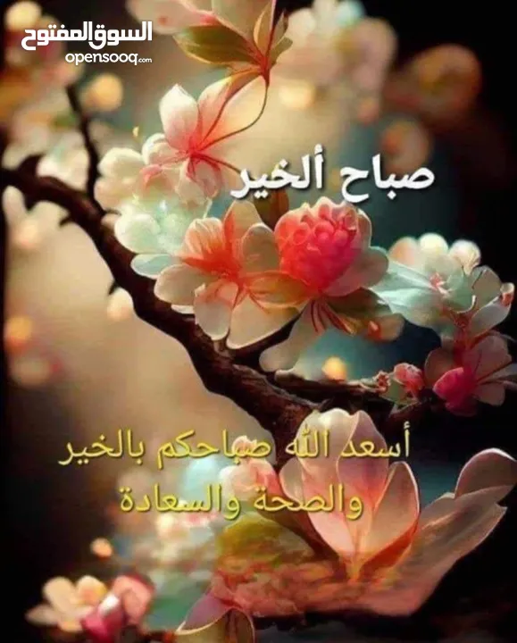 ارض للبيع صالحه للبيناء في كفر نعمه على شارعين