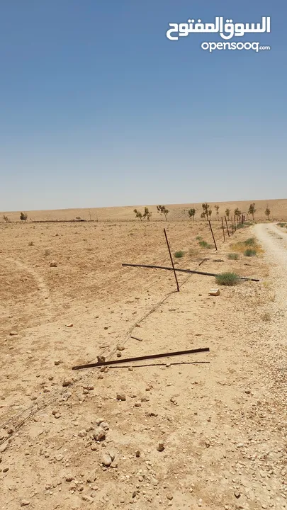 ارض للبيع من المالك في الموقر الحنيفيه