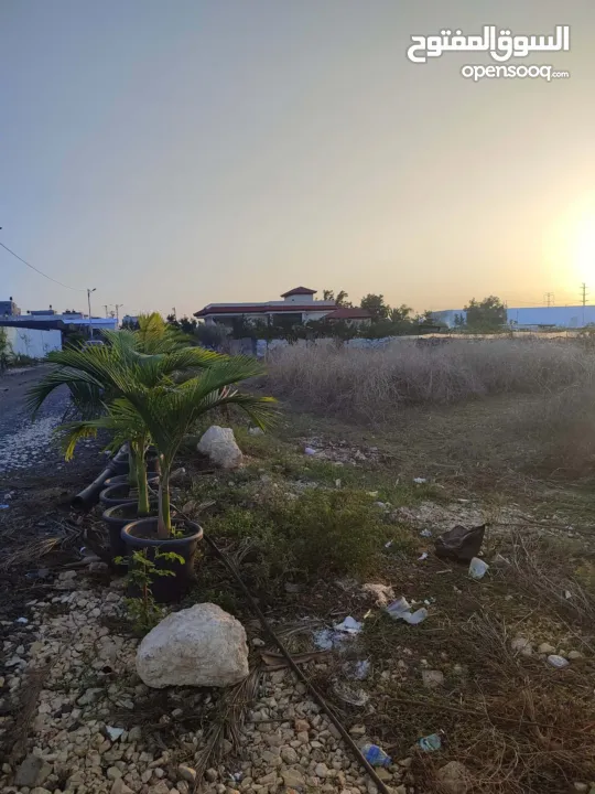 ارض طابو بمساحة 587 متر للبيع