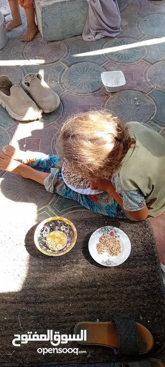 اطفال بلا مأكل ولا ملبس للتبرع بشي رمزي ع محفظة بال باي  بس اشي بسيط استر اولادي