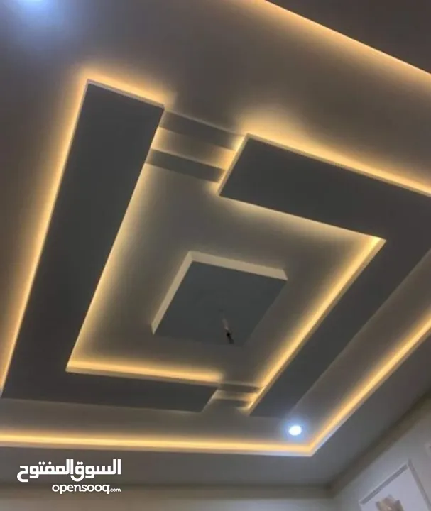 private contractor (interior designer)