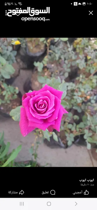 شقه للبيع بسعر مناسب