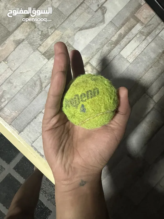 2 مضارب تنس ارض مع كره وحده اصلي نوع wilson للبيع