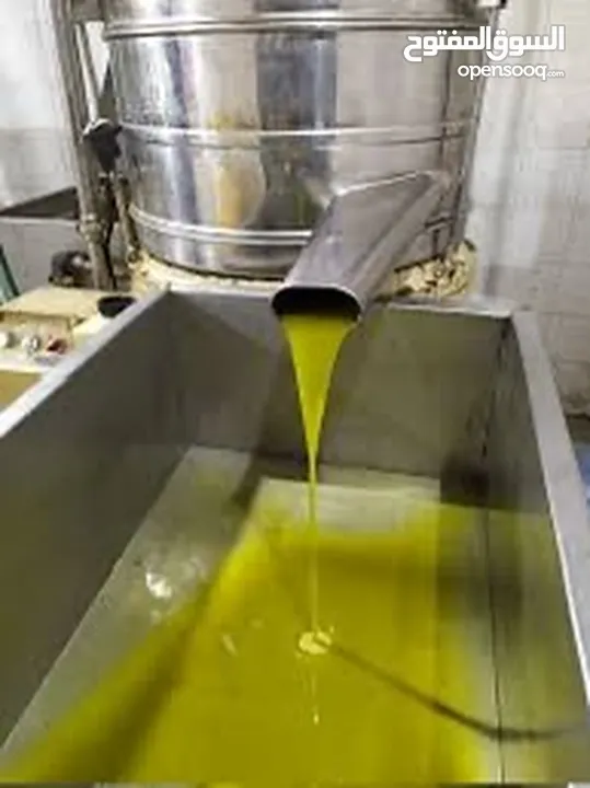 زيت زيتون بكر صافي مكفول