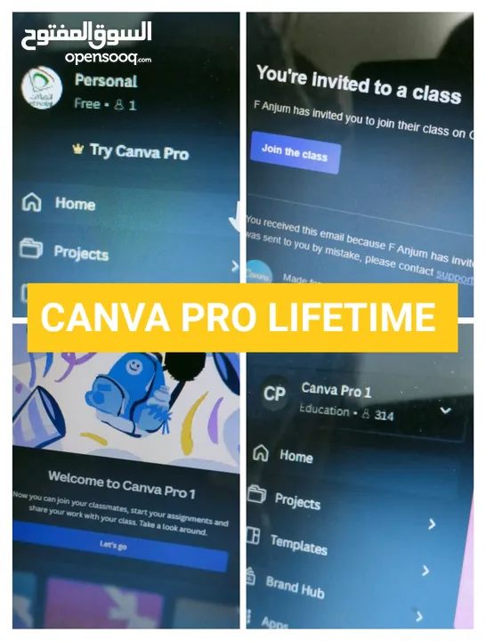 Canva pro 2k24