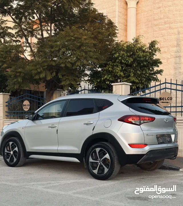 احمد سامي مغنم