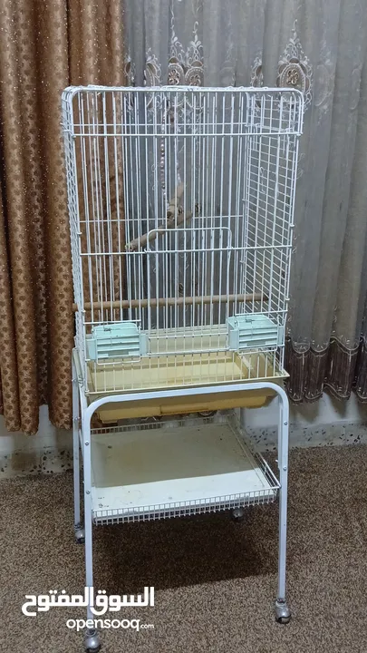 قفص كبير مع قاعده وبفتح بابين نضيف