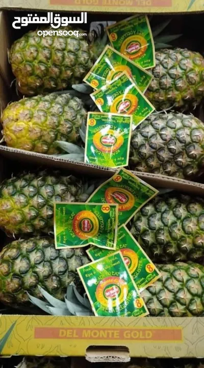 شركه ميركاتو العبور للفواكه المجمده و المجففه