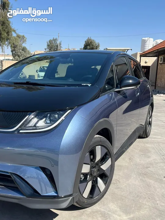 Byd bolphin knight