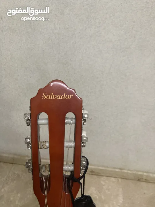 جيتار للبيع ماركة salvador مع حزام قابل للتفاوض